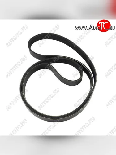 Ремень 8PK1815 6CT 3289404 CUMMINS 10033