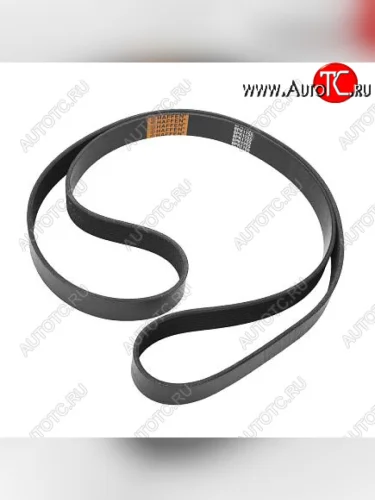 Ремень 8PK1755 6CT, ISC 3289235 CUMMINS 10206