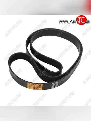 Ремень 8PK1650 3289056 CUMMINS 15727