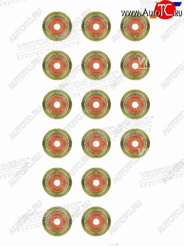Комплект маслосъёмных колпачков BMW X5(E70) M57D30 VICTOR REINZ 12-35172-01