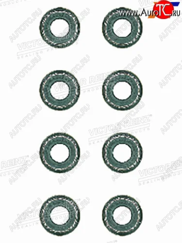 Комплект маслосъёмных колпачков  BMW 5(E34)3(E46) M43B16 VICTOR REINZ 12-26058-02