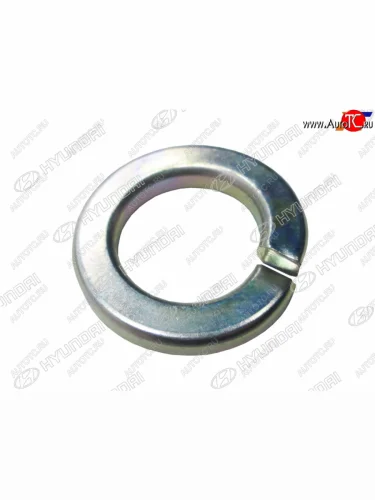 Шайба болта эксцентрика HYUNDAI H-1STAREX 97-07PORTER 04- HYUNDAI 1360216001