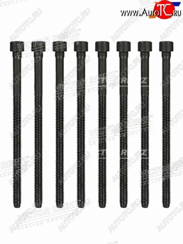 Комплект Болтов ГБЦ VAG A6 BDW VICTOR REINZ 14-32198-01