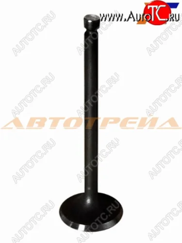 Клапан впускной (1 шт) HYUNDAI ELANTRAACCENTGETZ 1,6 95-2010 SHINHAN 22211-26000