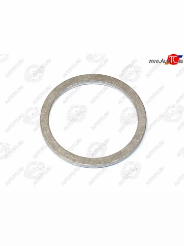 Уплотнительное кольцо ELRING 250.007, 250007 ELRING 250.007