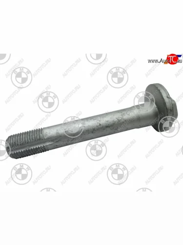 Эксцентрик BMW X5 06-X6 07-                                                                         BMW 33306777169