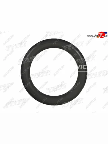 Уплотнительное кольцо щупа уровня масла BMW 3(E36E46)5(E34E60)X5(E70) VICTOR REINZ 40-76710-10