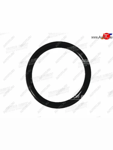 Кольцо уплотнительное VAGBMWGM VICTOR REINZ 40-76075-00