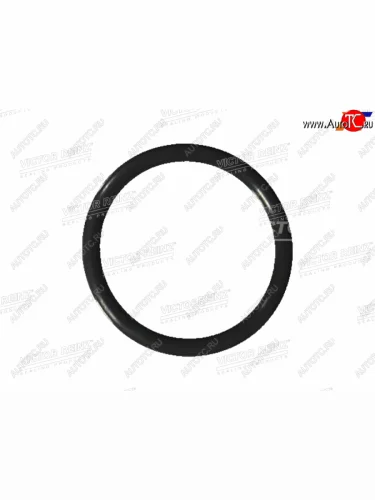 Прокладка сливной пробки GM VICTOR REINZ 40-76041-20