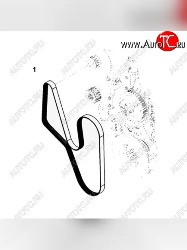 Ремень 8PK1805 3289347 CUMMINS 14538