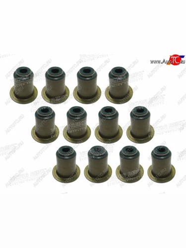 Комплект маслосъёмных колпачков BMW N50B30 (12 шт) VICTOR REINZ 12-37256-01