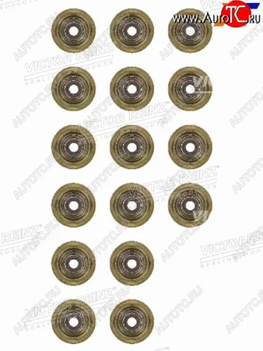 Комплект маслосъёмных колпачков CITROENPEUGEOTBMW 1(F20)(F21)C3C4C5207308 5F45FY5FD5FVN1 VICTOR REINZ 12-37621-01