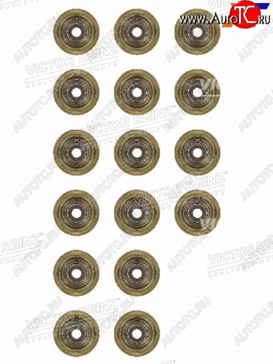 Комплект маслосъёмных колпачков CITROENPEUGEOTBMW 1(F20)(F21)C3C4C5207308 5F45FY5FD5FVN1 VICTOR REINZ 12-37621-01  в Воронеже Воронежской области