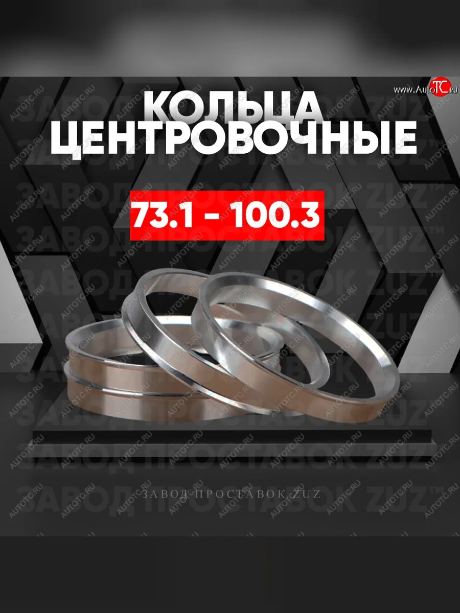 Центровочные кольца для дисков 73.1 - 100.3 (алюминиевые) 4шт. переходные центрирующие проставочные супинаторы на ступицу ЗАВОД ПРОСТАВОК ZUZ 73.1 - 100.3  в Самаре Самарской области