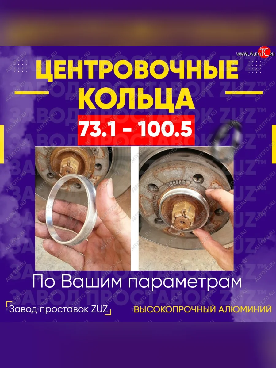 Центровочные кольца для дисков 73.1 - 100.5 (алюминиевые) 4шт. переходные центрирующие проставочные супинаторы на ступицу ЗАВОД ПРОСТАВОК ZUZ 73.1 - 100.5  в Самаре Самарской области