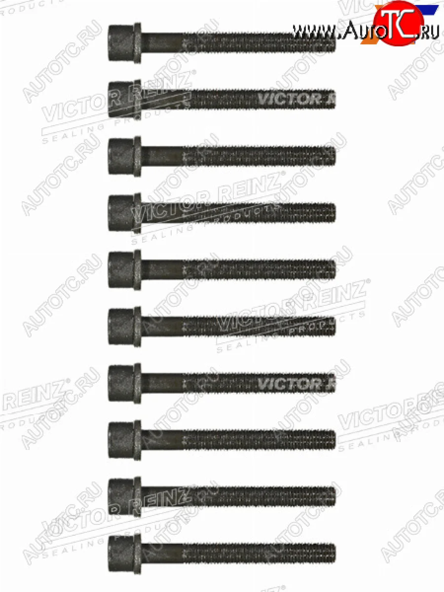 Комплект болтов  ГБЦ VAG 80100A6PASSAT AAMAAEAADABK VICTOR REINZ 14-32046-01  в Самаре Самарской области