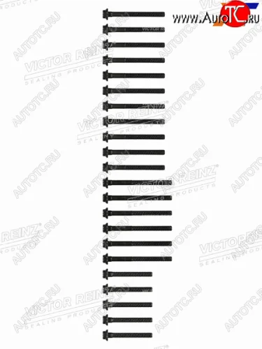 Комплект болтов  ГБЦ MBSSANGYONG  E(W210)G(W461W463)SPRINTER KORANDO OM662 VICTOR REINZ 14-32031-02