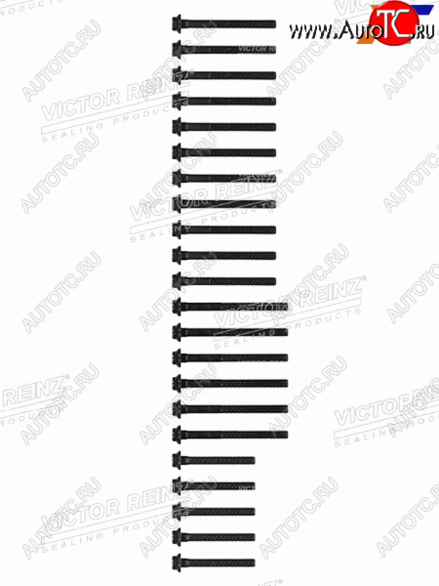 Комплект болтов  ГБЦ MBSSANGYONG  E(W210)G(W461W463)SPRINTER KORANDO OM662 VICTOR REINZ 14-32031-02  в Самаре Самарской области