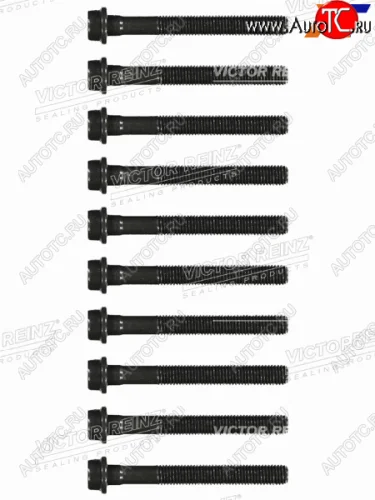 Комплект болтов  ГБЦ MBVAGSSANGYONG  C(W202)ML(W163)KORANDOLT VICTOR REINZ 14-32028-02