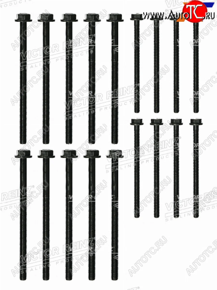Комплект болтов ГБЦ  FORDJAGUARLR  TRANSITX-TYPEDEFENDER QJBAJXFADT244 VICTOR REINZ 14-32204-01  в Самаре Самарской области
