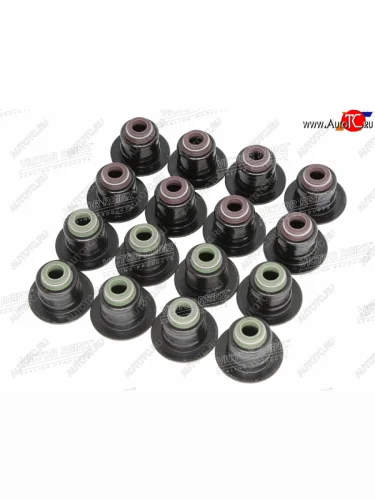 Комплект маслосъёмных колпачков FORD FOCUS IIIIIIC-MAXFIESTA (16 шт) VICTOR REINZ 12-33876-01