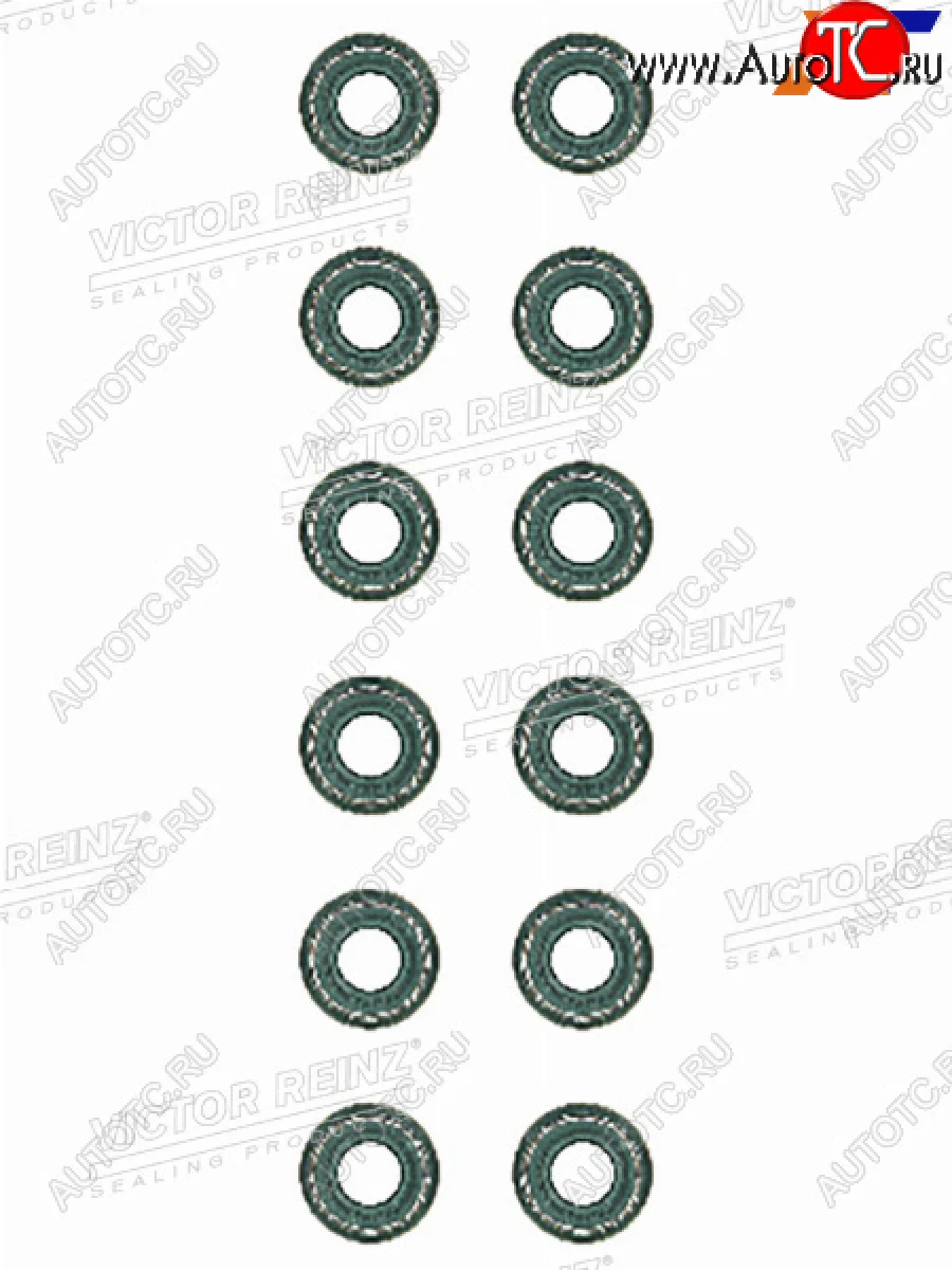 Комплект маслосъёмных колпачков VAGBMWVOLVOVAZ (12 штук) VICTOR REINZ 12-26058-01  в Самаре Самарской области