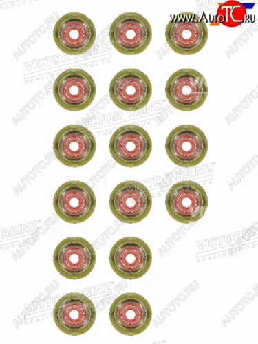 Комплект маслосъёмных колпачков BMW X5(E70) X6(E71) 5(F10)  N57D30B VICTOR REINZ 12-37281-01