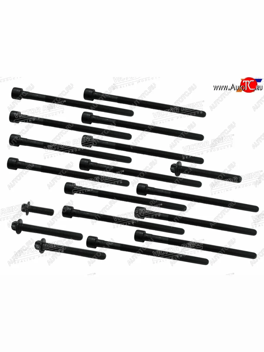 Комплект болтов ГБЦ BMW X5(E70) N55B30 VICTOR REINZ 14-10427-01  в Самаре Самарской области