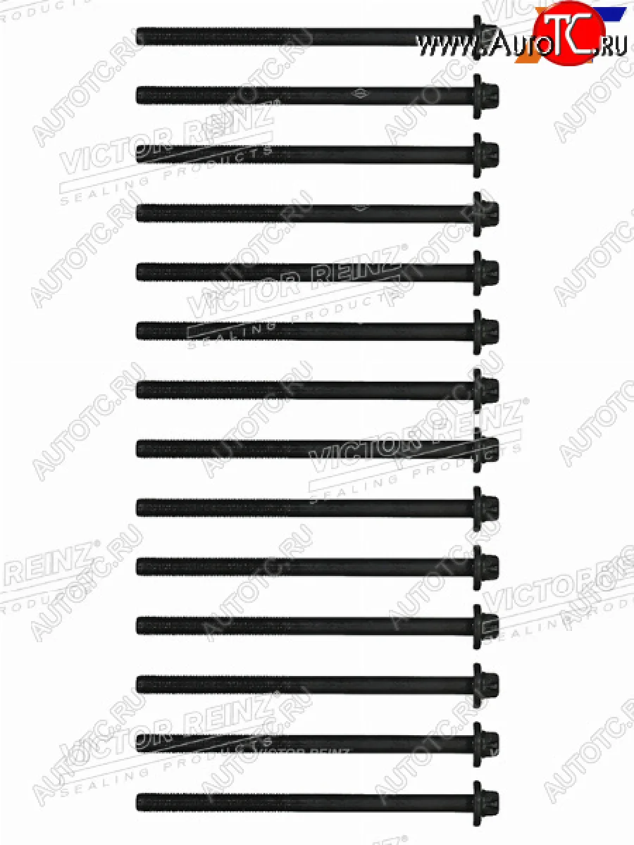 Комплект болтов ГБЦ BMW X5(E70) N57D30B VICTOR REINZ 14-10398-02  в Самаре Самарской области