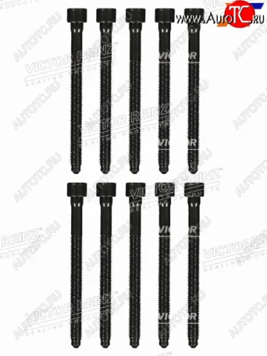 Комплект болтов ГБЦ VAG Q3Q5PASSAT CDNCCDABCDAABZB VICTOR REINZ 14-32276-01