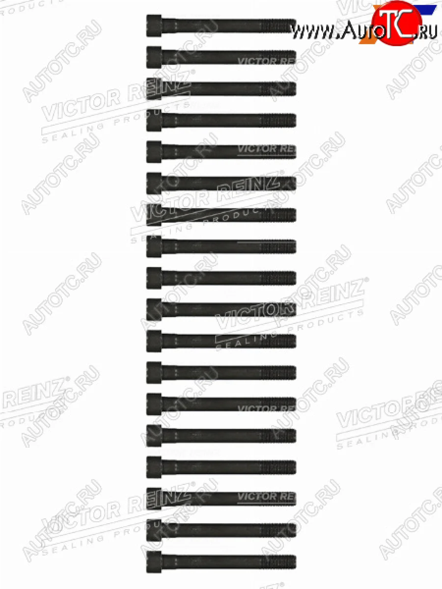 Комплект болтов ГБЦ MITSUBISHI PAJEROL200 4D56 VICTOR REINZ 14-55015-01  в Самаре Самарской области
