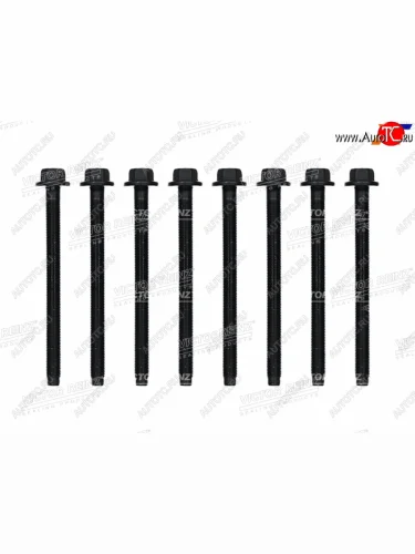 Комплект болтов ГБЦ CITROENPEUGEOTLRJAGUAR  C5RANGE ROVERVELARXF 276DT306DT VICTOR REINZ 14-32344-01