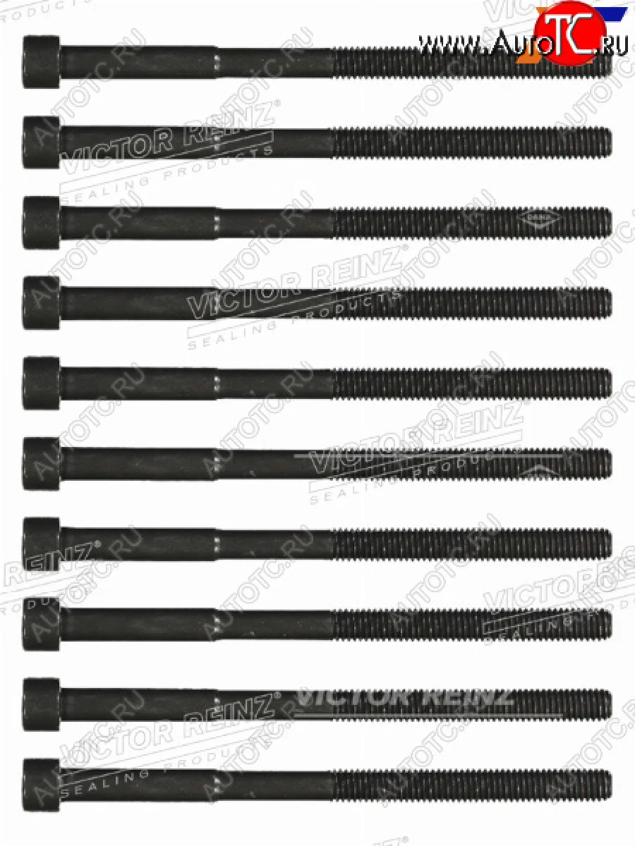 Комплект болтов ГБЦ TOYOTA 1,2NZFE (10 штук) VICTOR REINZ 14-55033-01  в Самаре Самарской области