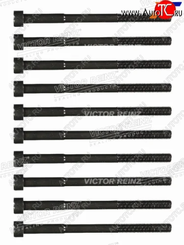 Комплект болтов ГБЦ TOYOTA 1-4ZZFE (10 штук) VICTOR REINZ 14-55035-01