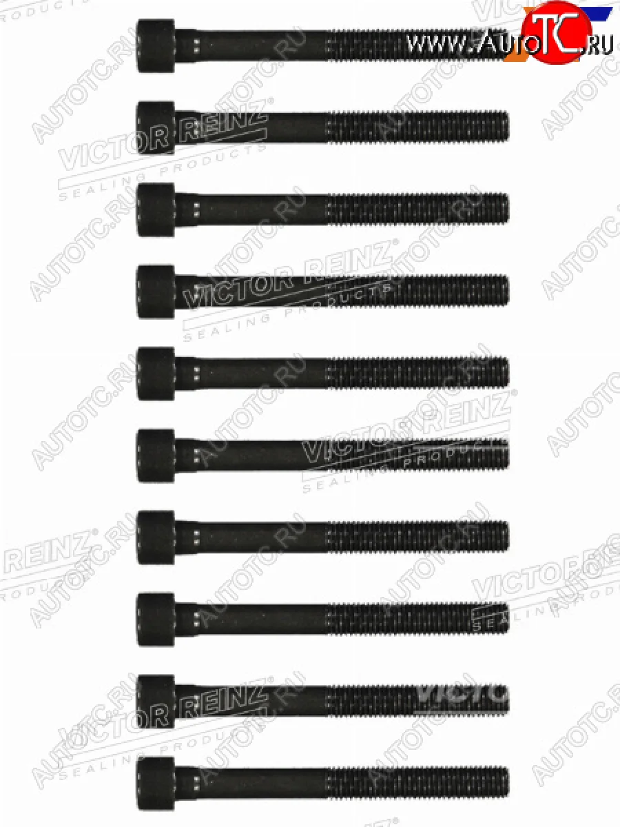 Комплект болтов ГБЦ TOYOTA 1-2SZ-FE (10 штук) VICTOR REINZ 14-55036-01  в Самаре Самарской области