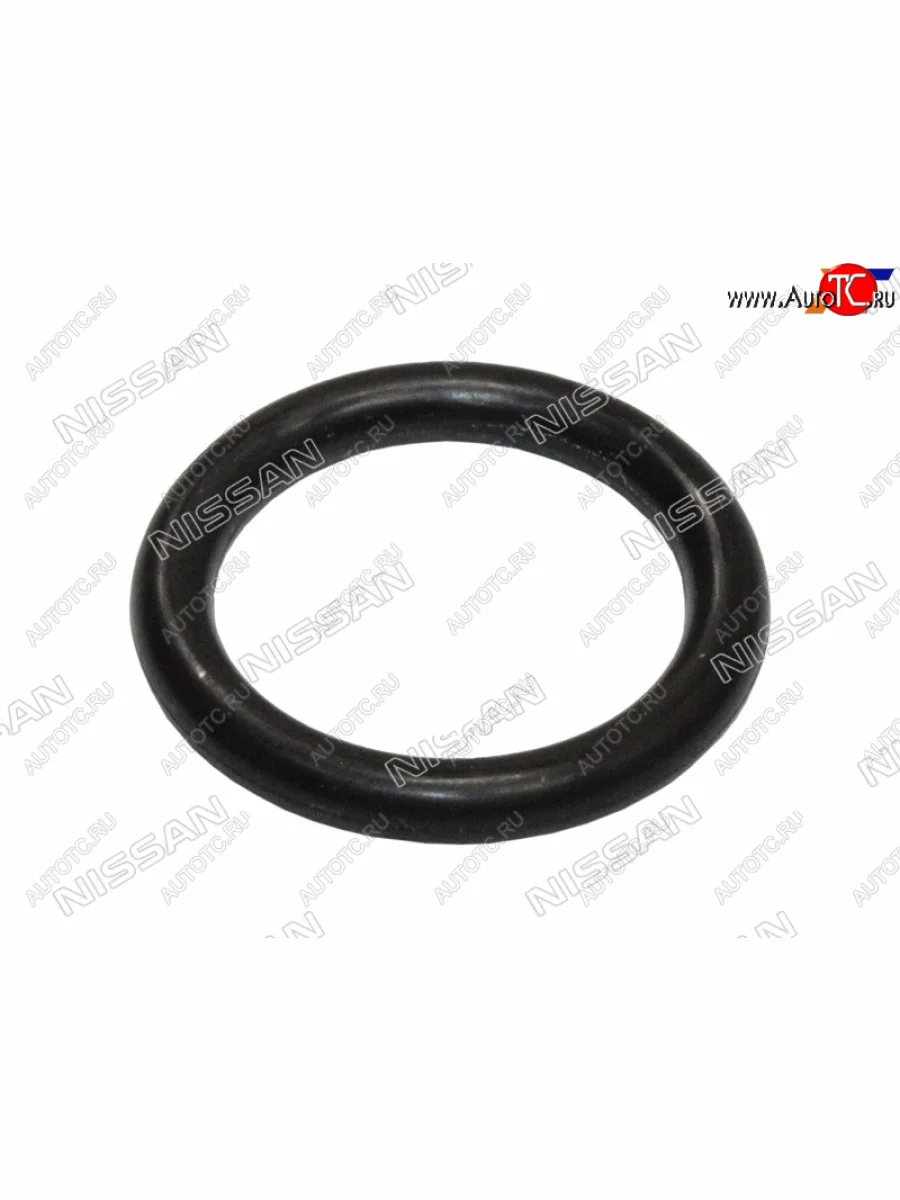 Кольцо уплотнительное лобовины большое NISSAN QR25DE NISSAN 15066-8H700  в Самаре Самарской области