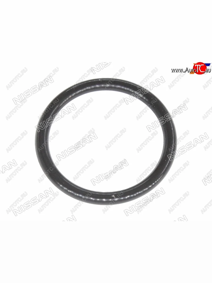 Кольцо уплотнительное маслозаборника NISSAN QR25DE                                                   NISSAN 15066-31U02  в Самаре Самарской области