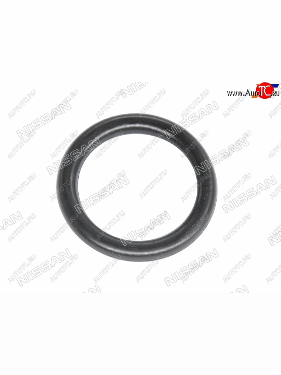 Кольцо уплотнительное лобовины малое NISSAN QR25DE NISSAN 15066-6N203  в Самаре Самарской области
