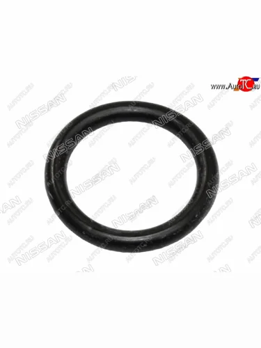Кольцо уплотнительное датчика распредвала NISSAN ALMERABLUEBIERD SYLPHYPATHFINDERPATROL VQ35# NISSAN 22131-4M505