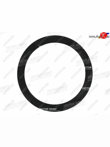 Кольцо уплотнительное маслозаливной горловины MBSSANGYONG VIANOVITOKORANDOMUSSOISTANA M104.995 VICTOR REINZ 40-77545-00