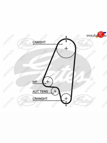Ремень ГРМ DAEWOO NEXIA 1.5(SOHC) 95-LANOS 1.41.6 97-OPEL ASTRA 1.41.6 91-05CORSA 1.4 94-02 GATES 5310XS