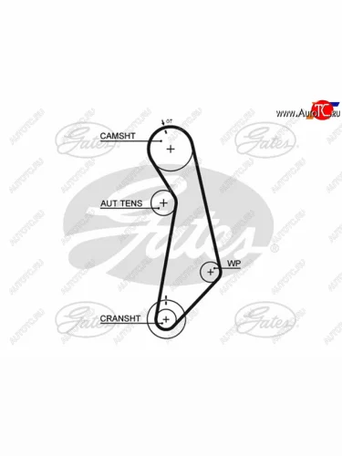 Ремень ГРМ VAG MULTIVAN VTRANPORTER VTOURAN 03-10OCTAVIA II GATES 5489XS