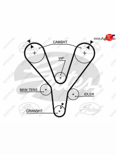 Ремень ГРМ HYUNDAI SONATATRAJETKIA MAGENTISUZU 2,52,7 98- GATES 5555XS