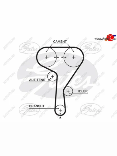Ремень ГРМ OPEL ASTRA HJINSIGNIAVECTRA CZAFIRACHEVROLET AVEOCRUZE 1,4-1,8 00- GATES 5603XS
