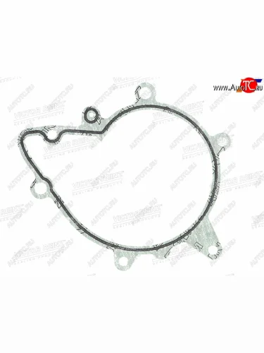 Прокладка насоса системы охлаждения BM  5(E34)7(E38)  M60B30M60B40 VICTOR REINZ 70-31851-00