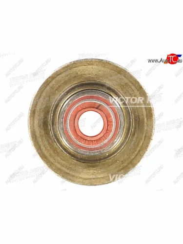 Колпачок маслосъёмный CITROENPEUGEOT RFR6FZRFKRFV VICTOR REINZ 70-34439-00