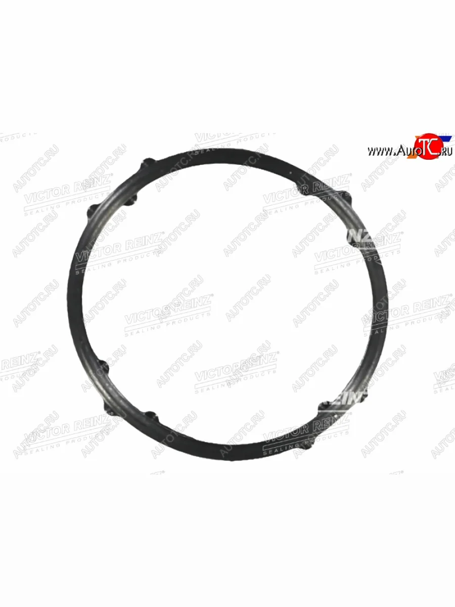 Кольцо уплотнительное клапаной крышки VAG OCTAVIAPASSATGOLF BBYCAVGBBZ VICTOR REINZ 70-38947-00  в Самаре Самарской области