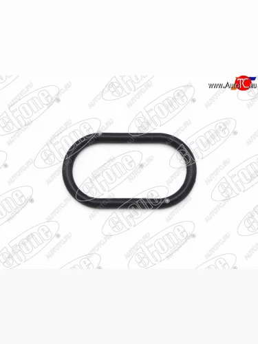 Кольцо уплотнительное клапана холостого хода N1 HONDA B20B STONE JF-46465