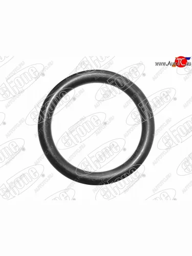 Прокладка кольцо кронштеина масляного фильтра HONDA K24 CR-V 06-11 STONE JF-46924