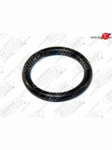 Кольцо свечного колодца SZ J20A, H25A, H27A (25x33x4) STONE JF-A6202